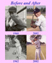 The Boys of Summer: Before and After